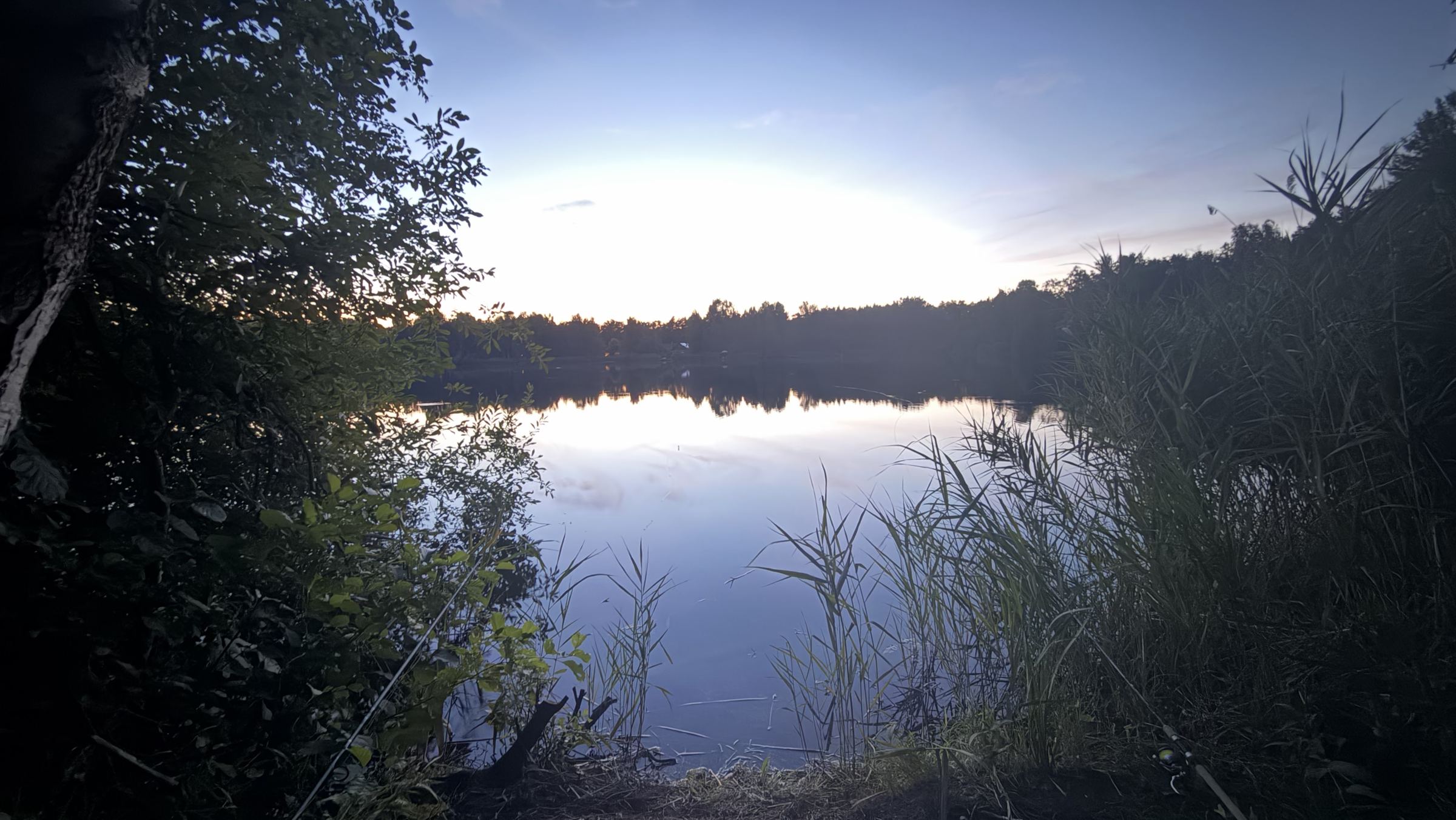 Ein See in der Abenddämmerung, links Büsche, rechts Schilf, im Vordergrund liegen meine Ruten.